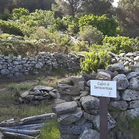 Il Pastore Tedesco Portoferraio