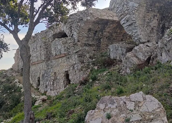 Il Pastore Tedesco Portoferraio