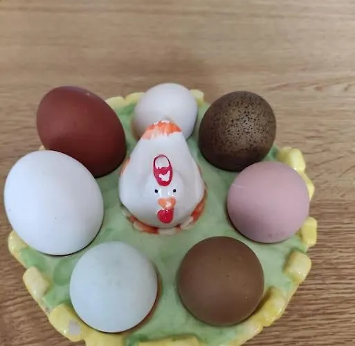 Apartmán Il Pastore Tedesco