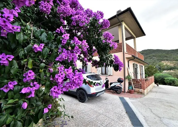 Il Pastore Tedesco Portoferraio