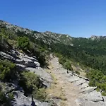 Il Pastore Tedesco * Portoferraio