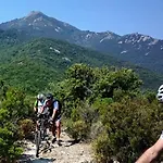 Διαμέρισμα Il Pastore Tedesco *