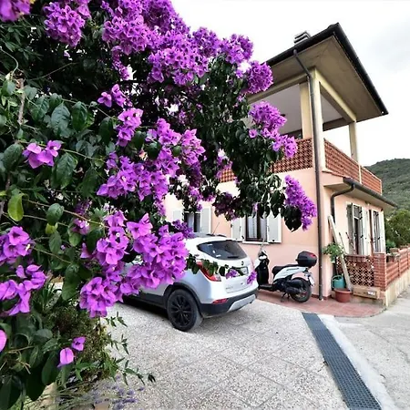 Il Pastore Tedesco Portoferraio