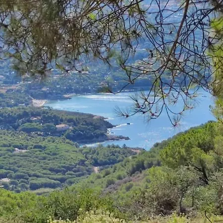 Il Pastore Tedesco Appartamento Portoferraio