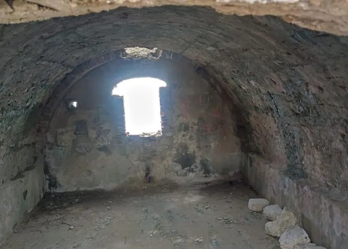 Il Pastore Tedesco *