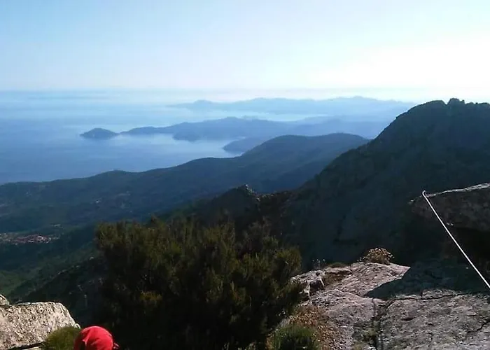 Il Pastore Tedesco Appartamento