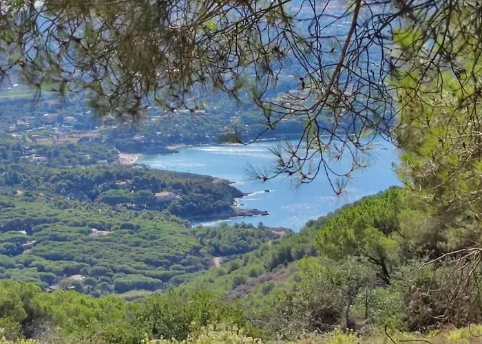 Il Pastore Tedesco Appartamento