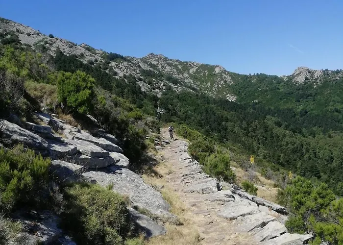 Il Pastore Tedesco * ポルトフェッラーイオ