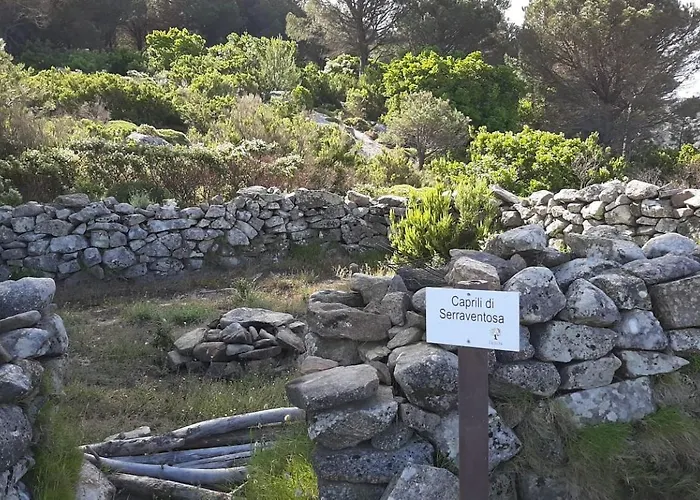 Il Pastore Tedesco Portoferraio