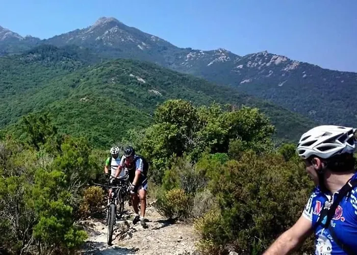 Appartement Il Pastore Tedesco *