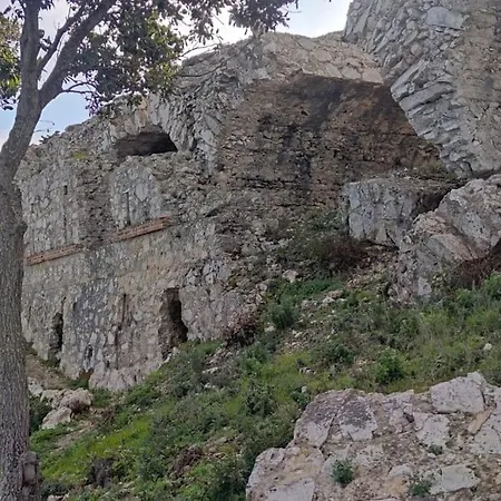 Il Pastore Tedesco Portoferraio